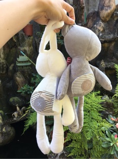Gấu papa mama