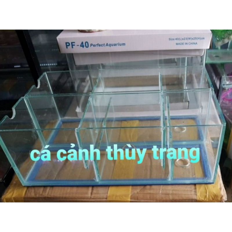 Lọc tràn cho hồ 40  giao toàn quốc
