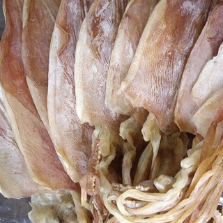 Mực ống khô câu nha trang, size 20-22 con/kg, mũi đôi đặc sản khánh hòa