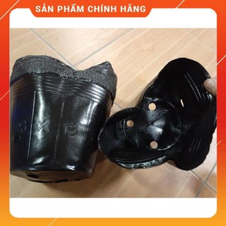 TÚI BẦU ƯƠM CÂY GIỐNG 14X16CM.