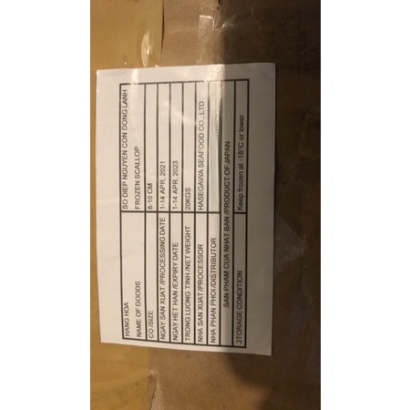 Hải sản nhập khẩu - Sò điệp Nhật nguyên con 7-8 con/kg - Hoả tốc giao ngay.