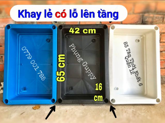 Khay Nhựa Xanh Xếp Tầng Nuôi Cá, Trồng Rau 65x42x16 (Không kèm chân)