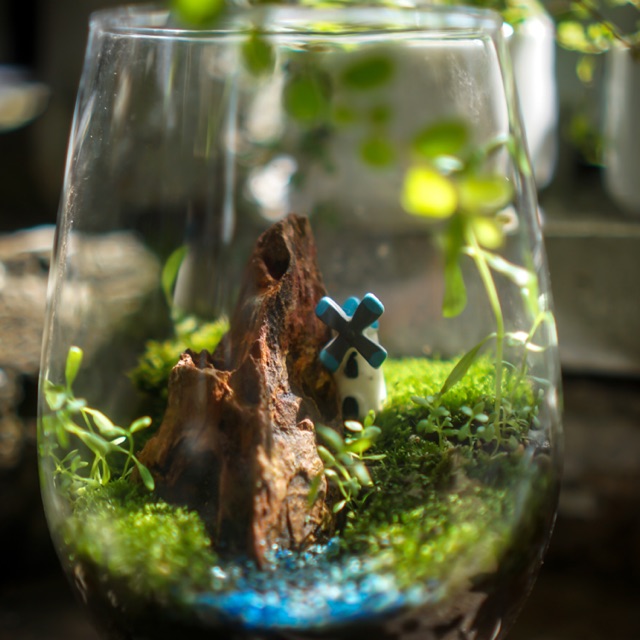 UrbanGarden