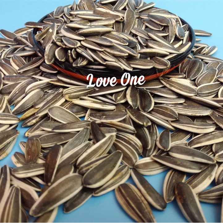 100g Hướng Dương Hạt To Giàu Dinh Dưỡng Cho Hamster-Rat-Đuôi Mập