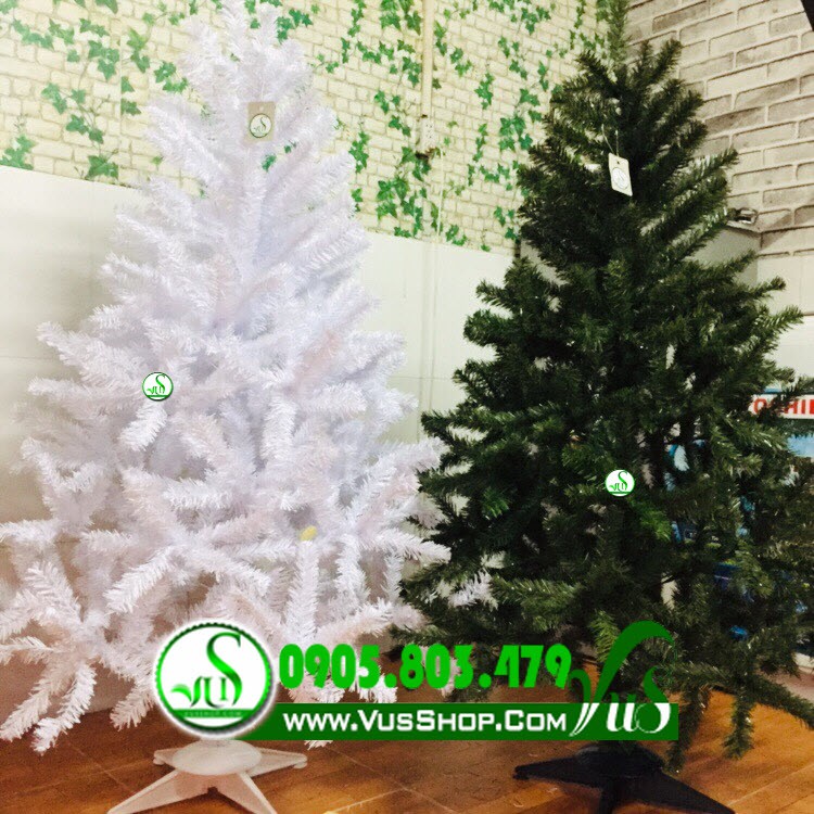 CÂY THÔNG NOEL ĐẦU TRÒN TẶNG KÈM DÂY KIM TUYẾN VÀ NGÔI SAO CAO 90CM ĐẾN 4M5