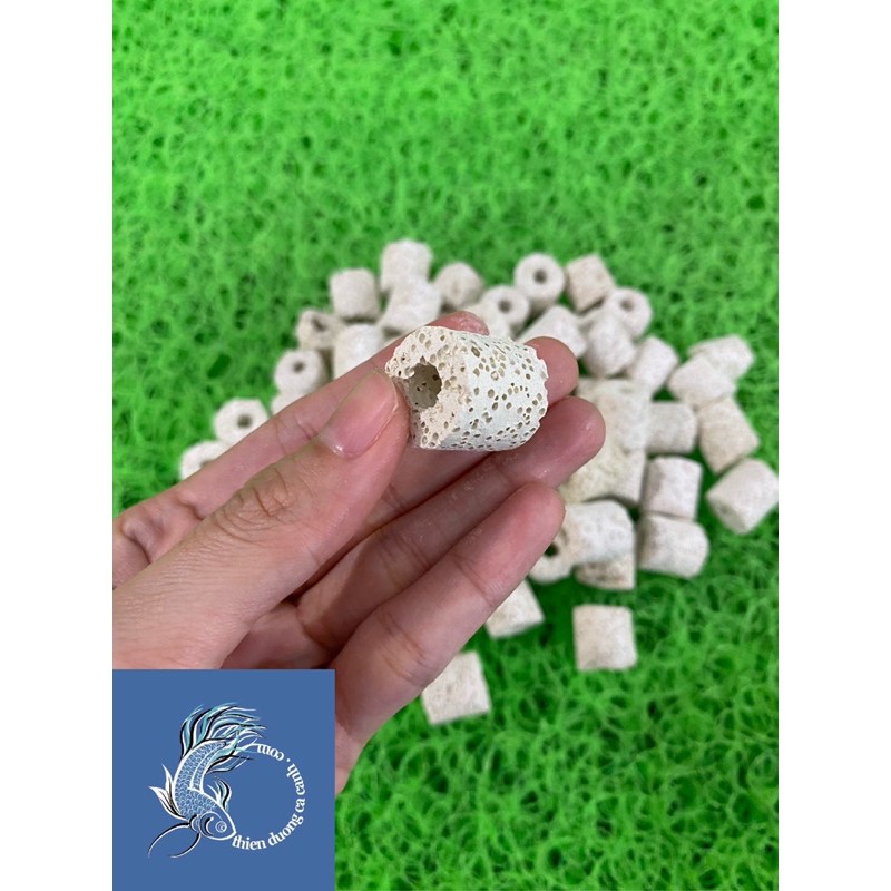 Sứ Lỗ Lọc Nước - Sứ Viên