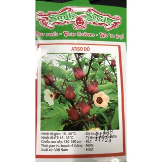Hạt giống cây Atiso đỏ (Bụt giấm)
