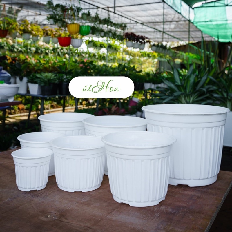 [Sll giá rẻ] Chậu nhựa trắng T15 (15x12.5 cm) trồng cây, trồng hoa nhựa cao cấp
