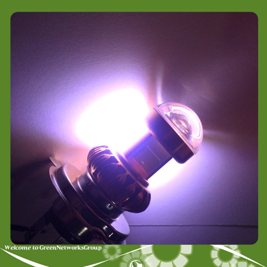Đèn pha led chân H4 Chân M5 2 tim bi cầu ánh sáng trắng Greennetworks