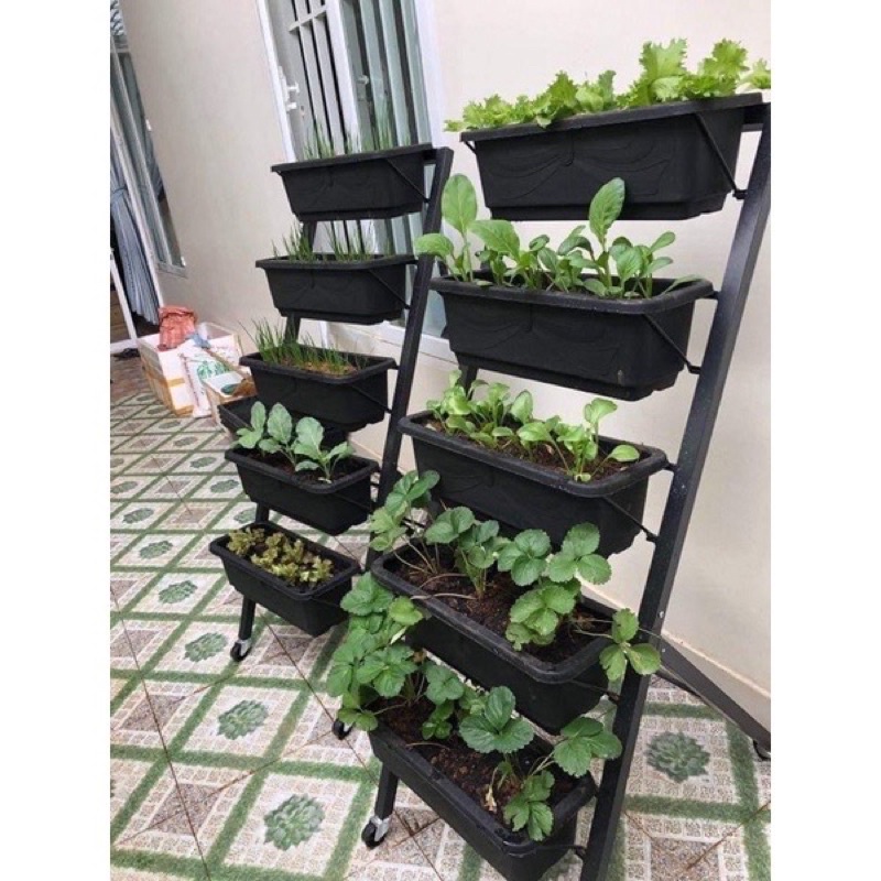 Kệ 5 tầng trồng rau sạch loại có bánh xe
