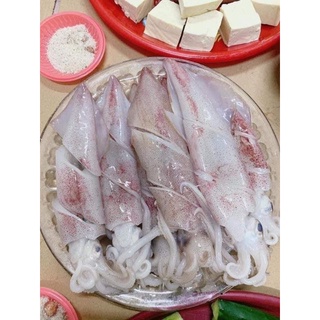 Mực Ống Tươi 500g