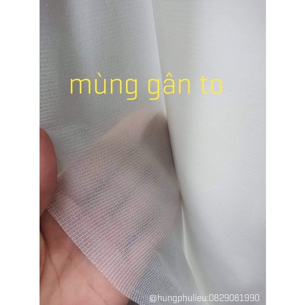 10m Keo Mùng gân, Mùng kẻ