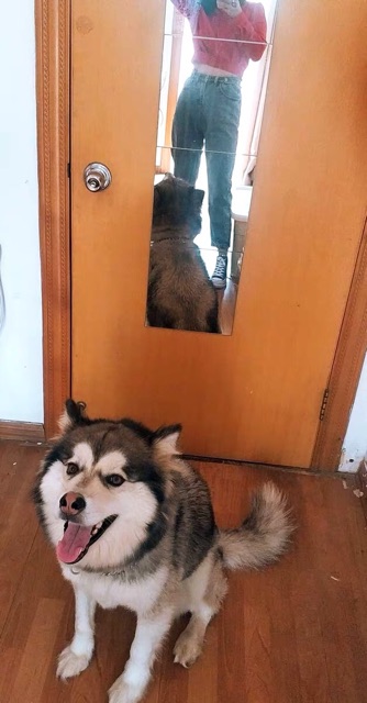 Quần jeans bagy sale hot QHP09 (Kèm hình thật) | BigBuy360 - bigbuy360.vn