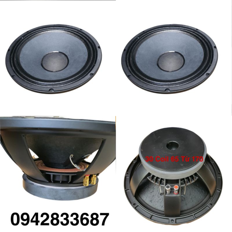 Bass 30 Coil 65 Từ 170 Sườn Đúc 1265 Nhập