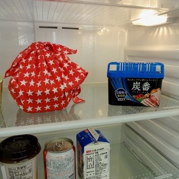 Hộp Khử mùi tủ lạnh Nhật than hoạt tính giúp tủ lạnh không bị mùi sạch sẽ hơn-giadungsieure