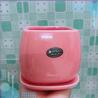 Chậu Trồng Cây