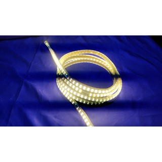 Dây led hắt trang trí 2 mắt ( đơn giá /m )