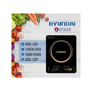 Bếp điện từ Hyundai HDE1120