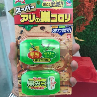 Diệt kiến nhật bản