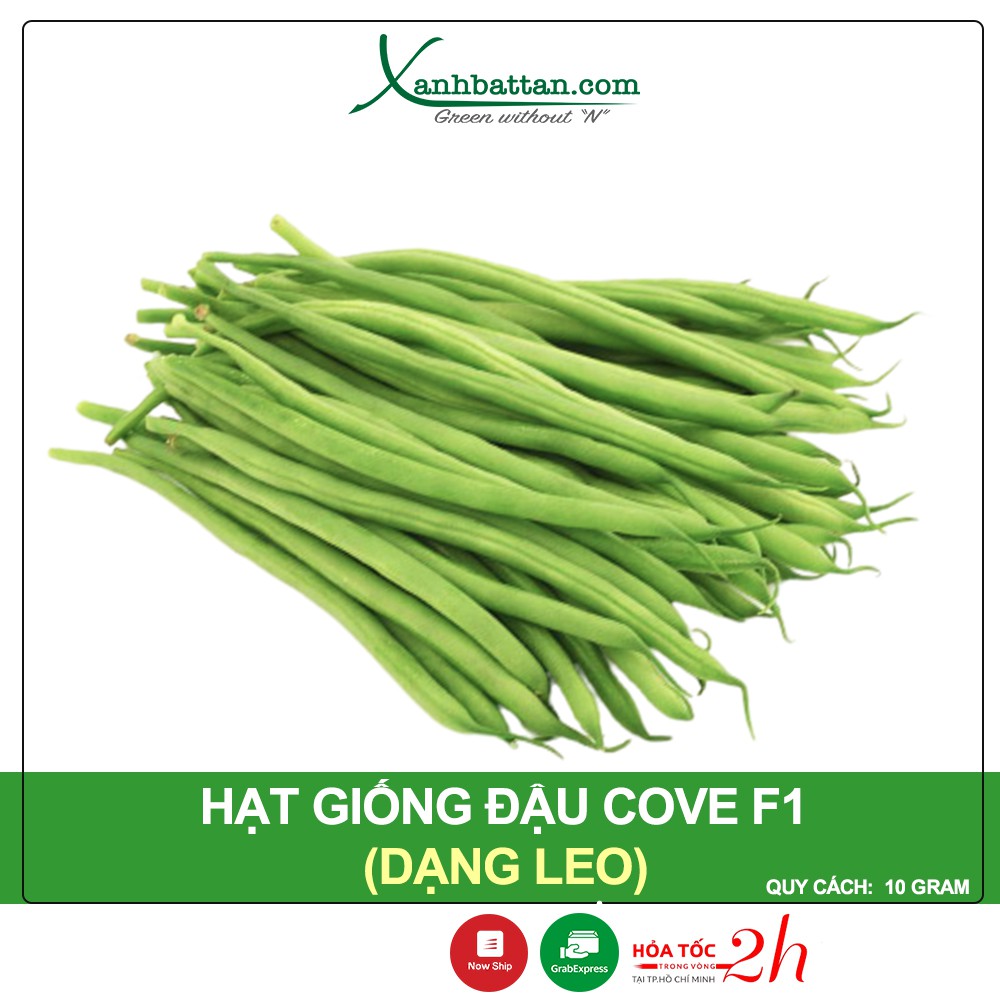 Hạt Giống Đậu Cove Trắng Dạng Leo Phú Nông Gói 10 gram