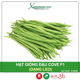 Hạt Giống Đậu Cove Trắng Dạng Leo Phú Nông Gói 10 gram