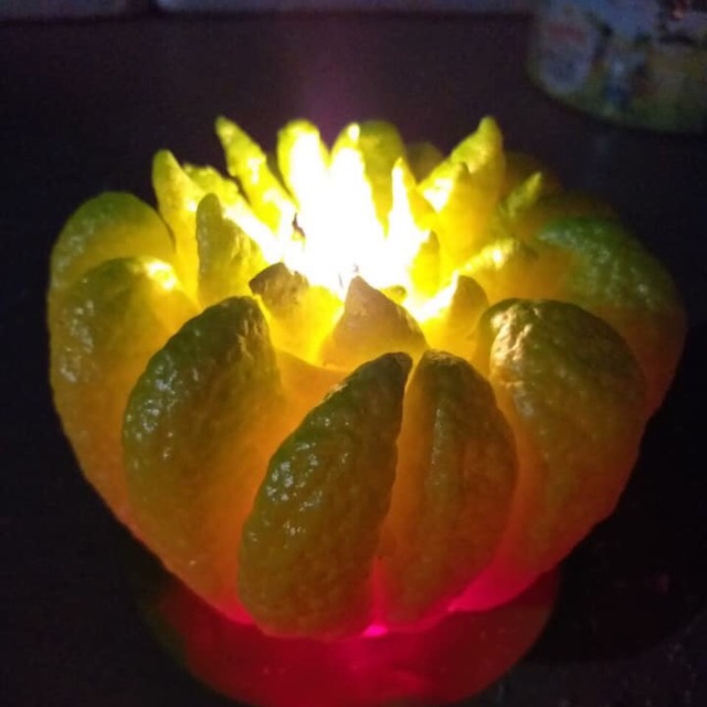 Phật thủ phát đèn sáng