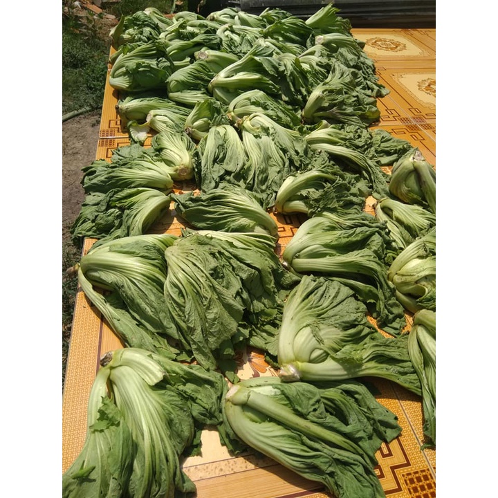 500g cải ngâm chua giòn tự nhiên không hàn the, chỉ giao hồ chí minh