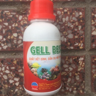 Gell best chất kết dính