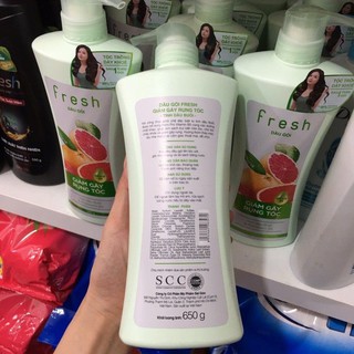 Dầu gội Fresh