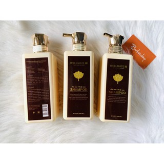 DẦU GỘI WELL MATTE 500ML ITALIA