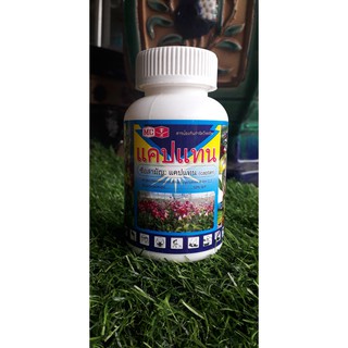 Thuốc trị thối nhũn trên Phong lan CAPTAN (hàng nhập Thái Lan)