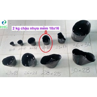 2KG CHẬU NHỰA MỀM ƯƠM CÂY 18X16 (BỊCH, TÚI BẦU 18X16), 2kg = khoảng 248 chậu 18x16