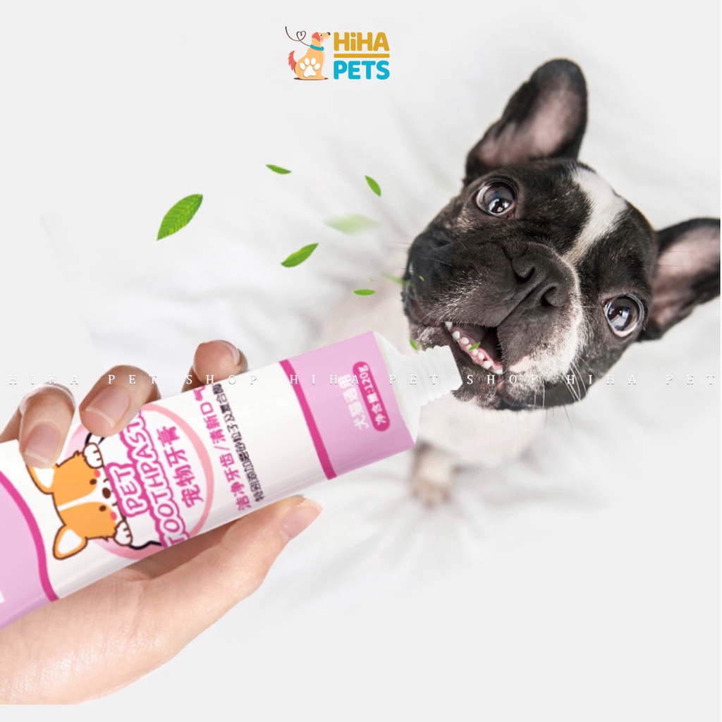 Bộ Kem Đánh Răng Và Bàn Chải Đánh Răng Chó Mèo Bộ Kem Đánh Răng Có Bàn Chải Cho Thú Cưng Hiha Pets.