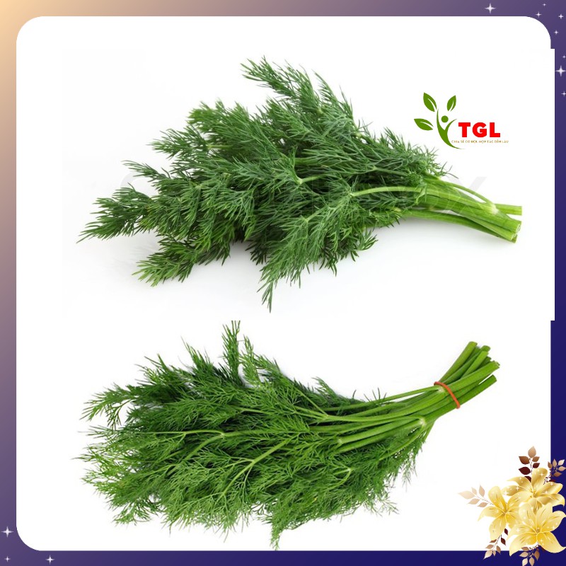Hạt Giống Rau Thì Là Tứ Quý 4 Mùa Phú Điền, Hạt giống rau củ quả chịu nhiệt tốt - Gói 20gr