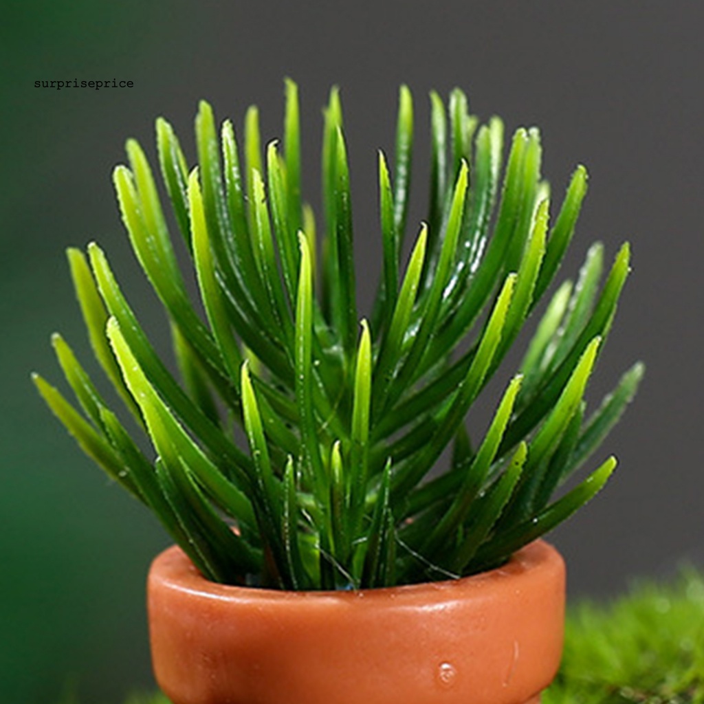 Mô Hình Chậu Cây Mini Bằng Nhựa Resin Dùng Trang Trí Tiểu Cảnh