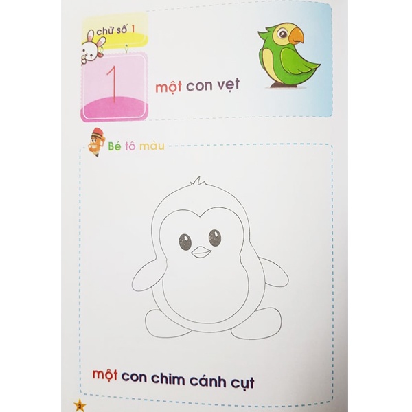 Combo 8 Quyển Tập Bé Làm Quen Với Chữ Cái Các,Nét Cơ Bản, Chữ Số