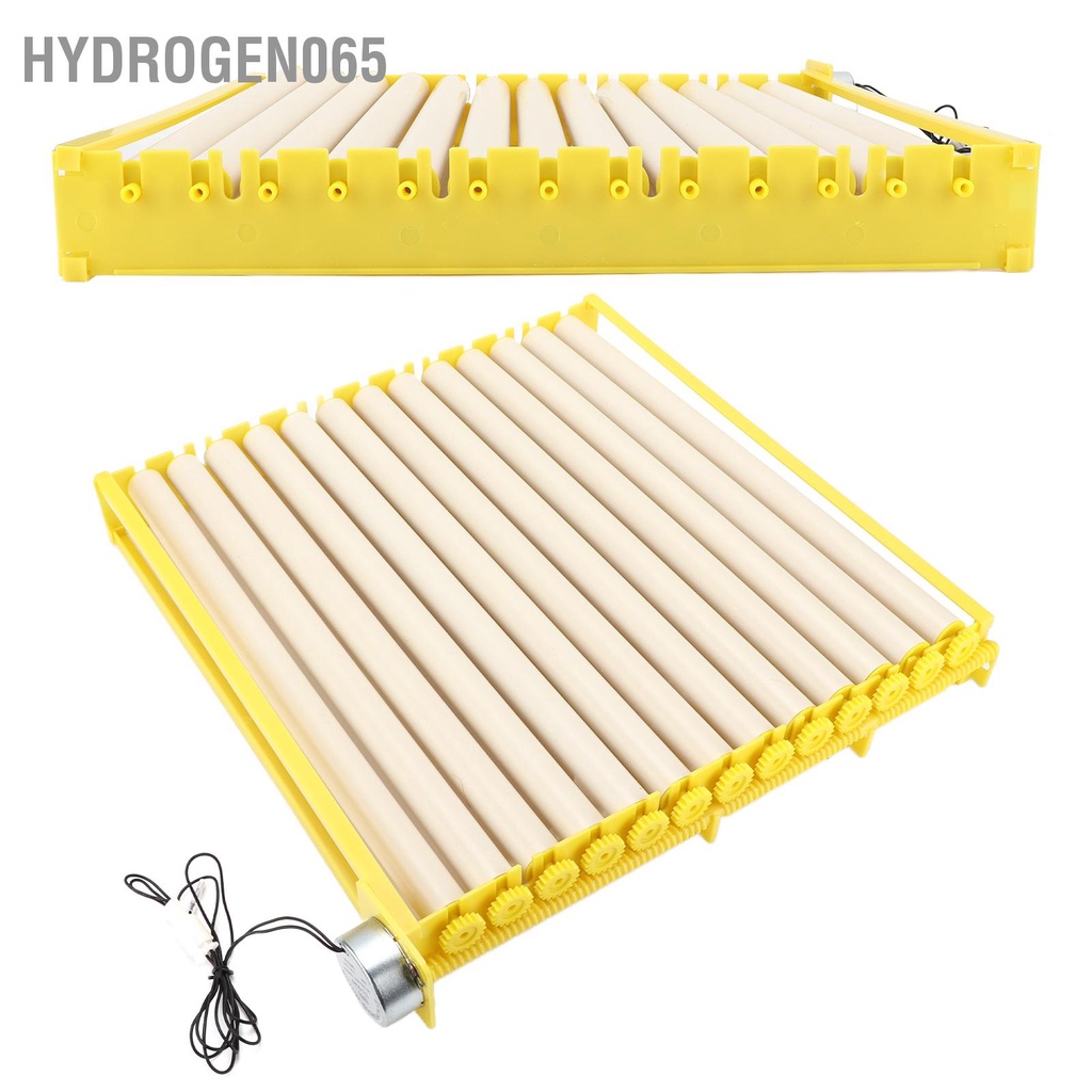 Khay ấp trứng hoàn toàn tự động hộ gia đình gà vịt Ngỗng cút Hydrogen065