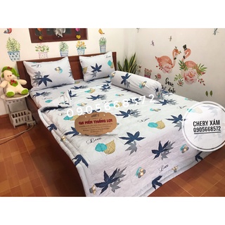 Bộ ga gối Thắng Lợi
