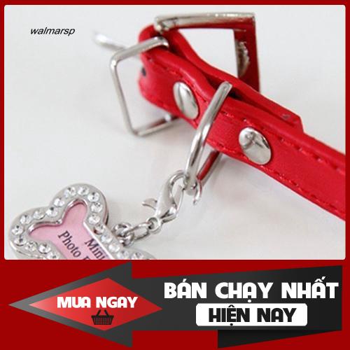 Mặt dây đeo gắn thẻ tên hình khúc xương dễ thương gắn vòng cổ cho thú cưng 0
