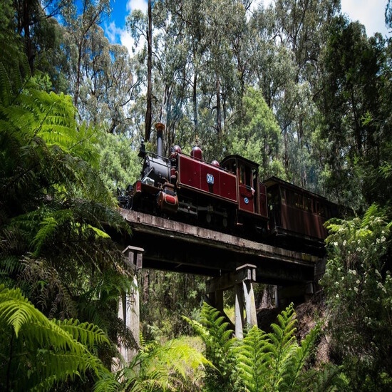 [EVoucher Vietravel] Sydney - Blue Mountains - Canberra - Melbourne - Dandenong - Yarra Valley : Lễ hội hoa Floriade