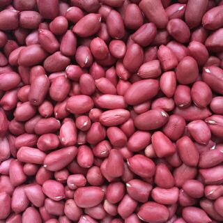Lạc nhân đỏ lạc nhân trắng