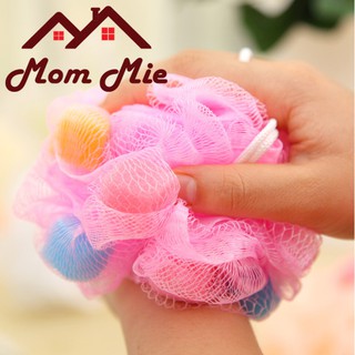 Bông tắm bọt biển