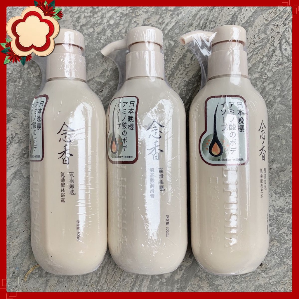 Combo 3 chai gội xả tắm nội địa Nhật