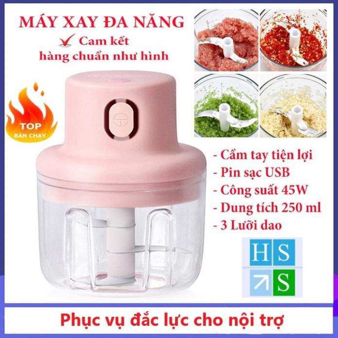 Máy xay mini cầm tay đa năng sạc pin cổng USB không dây xay tỏi ớt hành rau củ quả dung tích 250ml - HS Shop Thủ Đức