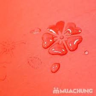 [Giá Buôn] Ổ NỞ HOA KHI GẶP NƯỚC.