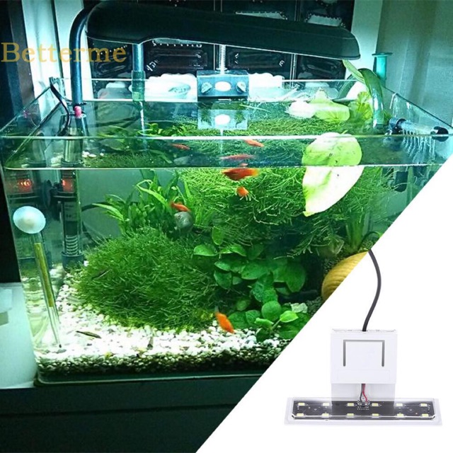 Đèn Led gắn bể cá