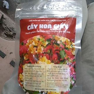 Phân bón chuyên dùng cho hoa giấy Better Bloom