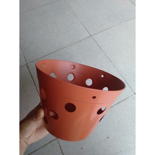 20 chậu lan giả đất fi 20