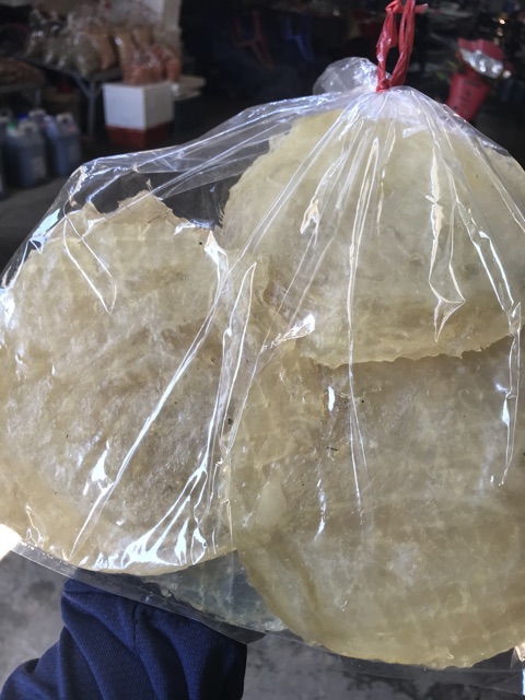 Cá bò 5kg giá sỉ khô ngon