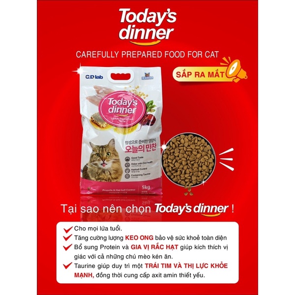 THỨC ĂN HẠT CHO MÈO TODAY DINNER - Thơm ngon, dễ tiêu hoá, đầy đủ dưỡng chất